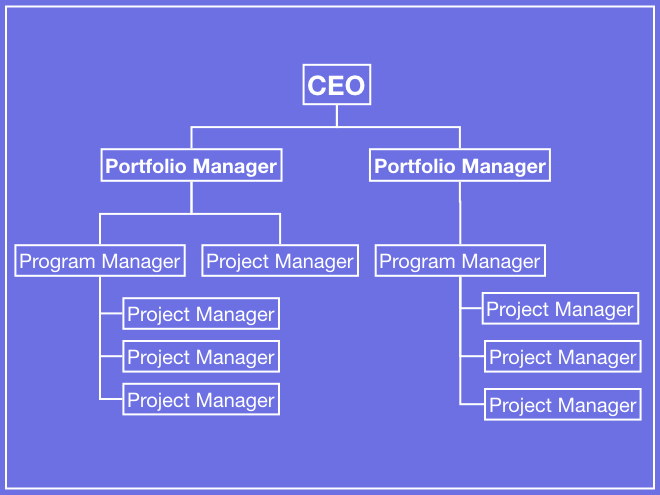 Chart Portfolio Manager vs Program Manager vs Project Manager